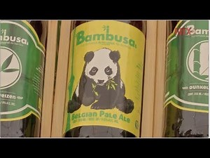 El Bambú en el Mundo