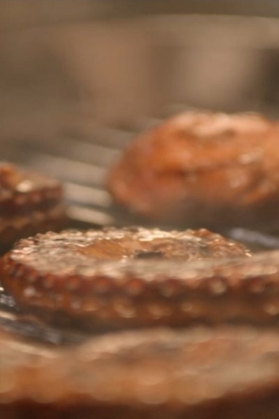 Perfekt gegrillter Oktopus, eine Delikatesse aus Meeresfrüchten