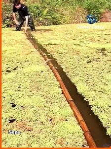 24K views · 269 reactions | Revolutionary tech | إئتلاف الكرامة 2019 | Facebook