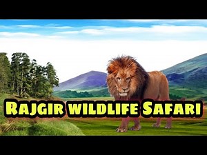 Rajgir wildlife Safari /zoo safari