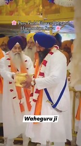 🌸 Pure Gold Flower Pots and Harmonium Sewa 🙏 . . . . #waheguru #wmk #goldentemple #viral #sewa #gold #blessed #reel #insta #amritsar #wmk🙏 | Sikh Updates