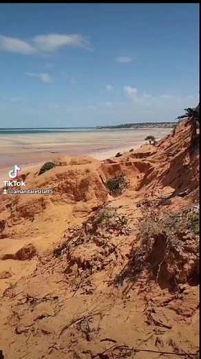 1.5K views · 24 reactions | Mozambique Horse Safari on Reels | Facebook