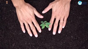 3.4K views · 293 reactions | #Rejuvenation of traditional water bodies is crucial to the nationwide movement on water conservation. Here are some of our responsibilities highlighted by Sachin Tendulkar which when practiced will create a positive change. #JalShaktiAbhiyan #JanShakti4JalShakti | Ministry of Jal Shakti, Department of Water Resources, RD & GR | Facebook