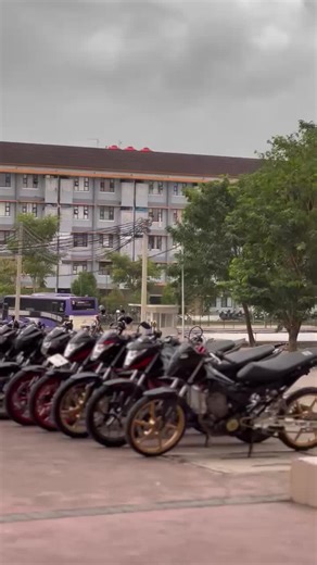 sonic xena on TikTok