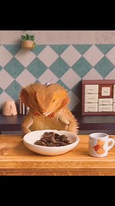 22K views · 371 reactions | Samson’s Diner: Your go-to place for that “regular” feeling.#foryou #fyp #fypシ #foryoupage #fypage #feastmode #asmr #asmrsounds #asmreating #feedingfrenzy #mukbang | Valerie Musser | Facebook