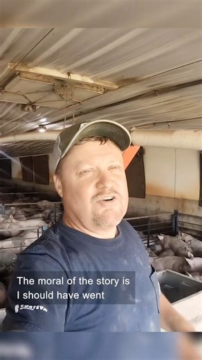 Fixing a feedline motor #dayinmylife #farmer #thislldofarm #farm | This’ll Do Farm