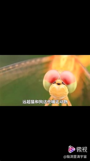 Paul Chen on Reels | Facebook