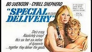 Special Delivery 1976 Bo Svenson Cybill Sheperd