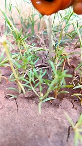Mini pitcher and hand pump water farming project #minivlog #diyprojects #reelsfypシ #indian #kidsactivities | CAR TOYS | Facebook