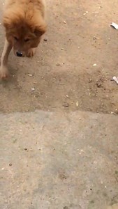 Welcome to 2020!!! | Vee Mampeezy