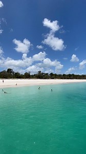 77 reactions | A bit of K'gari (Fraser Island) perfection on this fine Saturday morning 朗 and the beach all to ourselves. Doesnt get anymore beautiful than this !! . . . . . #bluedolphintour #thisisqueensland #marinemecca #kgarifraserisland #australia #beautifuldestinations | Blue Dolphin Marine Tours | Facebook