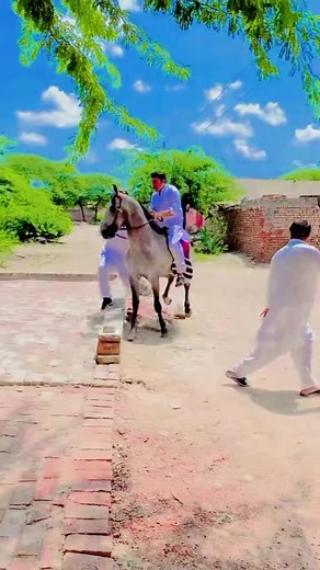 Horse racing # 🐎🎉🐎 #race #horseriding #horses #horsepower #shorts #viral #reels #fyp #100k | Gaming Raja