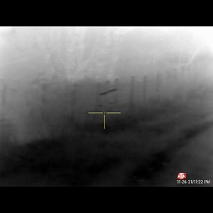 ATN Corp. on Instagram: "Coyote hopped straight in front of the bullet. Our Ambassador Brian Williams and his thermal ThOR 4 get the job done to keep the landowners happy #ATN #atncorp #thor4 #coyotehunting #coyote #predatorcontrol #thermalhunting #thermalvision #thermalimaging #thermalscope #nightvision #nighthunting #hunthard #huntinggear"