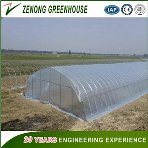 [Hot Item] Large-Scale Agricultural Film Greenhouse Morocco for Planting Flowers/Fruits/Cheery/Peach/Pear/Grape