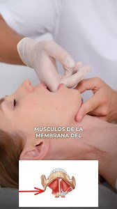 ¿CÓMO ELIMINAR LA PAPADA? No es grasa — es hinchazón, postura y tensión muscular. Trabaja suavemente el cuello y la mandíbula, y tu rostro se elevará de forma natural. 🔥¿Quieres más técnicas? Deja cualquier comentario. | Dr. Ales España