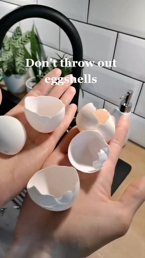Eggshells can provide all the calcium carbonate the soil needs, which helps to lower the soil's pH level and make it more alkaline as opposed to acidic. #homemade #organicfertilizer #gardeningtips #diygarden #nutrientsoil #eggshefertilizer #gardeninghacks #sustainability #ecofriendly #gardeningcommunity #plantlovers #soilhealth #gardeninspiration #greenthumb #urbanfarming | The Green Corner