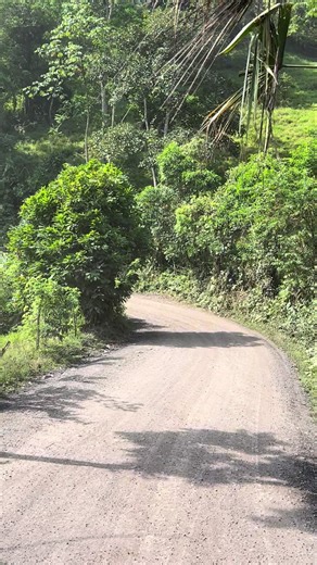 TikTok de mujeres y vida lujosa