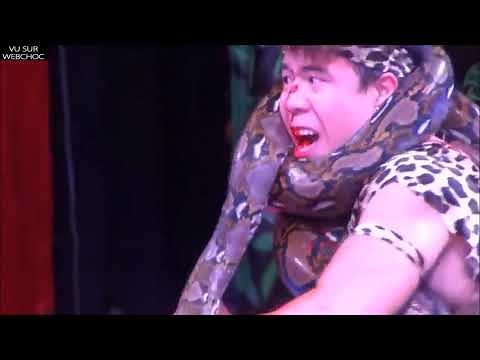 Un charmeur de serpent se fait attaquer par son python