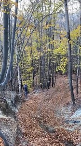 143K views · 1.3K reactions | Jeep WJ 4.7 ⚠️ hard climb #love motorsports #viral #funny #trending #reels close to disaster!﫢 | International offroad | Facebook