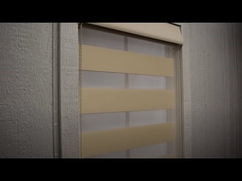 Zebra Sheer Dual Roller Shades Blackout