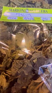 3.3K views · 989 reactions | Malva- Malva Sylvestris. Una hierba medicinal con muchas propiedades. Sabías que se usa para descongestionar los ojos ? #cortitoyalyuyo | Herboristería Marión Aguilera | Facebook