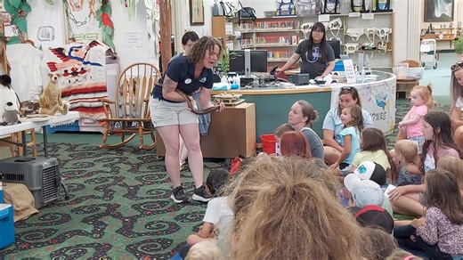 Lewiston Public Library on Reels