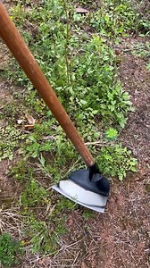 701K views · 1.8K reactions | Nghe tiếng cào cũng thấy đã cái tai | Món Ngon Vợ Nấu | Facebook