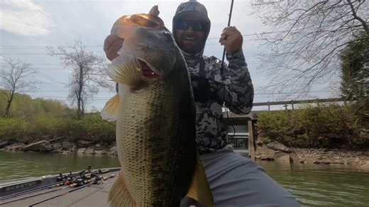 Its prime time to catch a GIANT Bass! Here's what you need to know! https://bit.ly/4c8wXDD