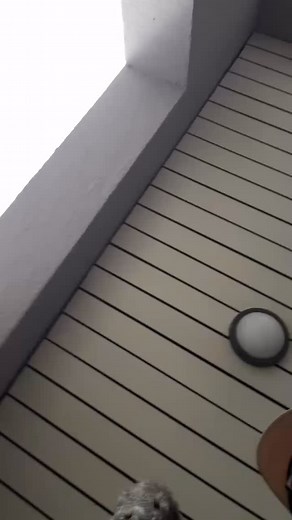 Wir von NASVAI sagen nochmal ein dickes DANKE für dieses geile gemeinsame @schlichtenfestopen 2025🖤😊🤘Die Tage hauen wir noch ein paar Videos von Gig raus 😉Und wir würden uns sehr freuen den ein oder anderen im @barfly_sonthofen am 19.09.25 wiederzusehen🤗Greetz mit dankbarem Headbang N #nasvai #schlichtenfest2025 #ihrseitdiebesten | NASVAI