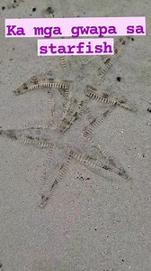 Mao ni akoang na koha video ang mga beautiful starfish❤ #everyonefollowers #highlightseveryone #BlessedMorningEveryone | Gir Ly Talisic Benlota