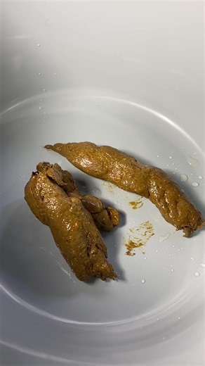 POOP BOWL AVAILABLE TO SHIP