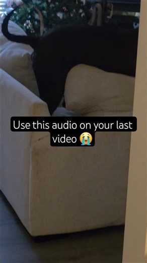 they said to use this audio on your last video