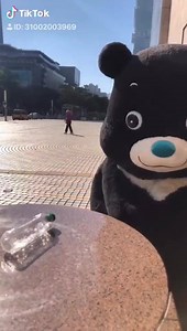 熊讚Bravo on Reels