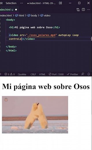 How to INSERT a VIDEO in HTML 👌😉 [HTML from scratch] #Shorts - 39