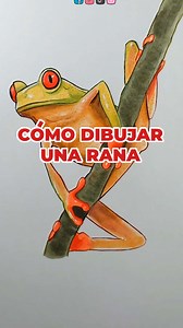 17K views · 1.2K reactions | Cómo dibujar una Rana  | Cornspiration | Facebook