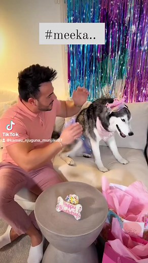 Meeka The Husky Dogs do speak, but only to those who know how to listen.... #doglover #dogsofinstagram #doglife #dogs #dogsofinsta | Kamau Njuguna Munjiku | Facebook