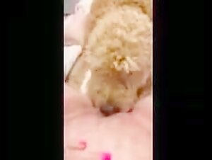 animal porn videos | Beastiality