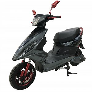 [Hot Item] Adult Hot Sell Electric Motorcycle Scooter 1000W