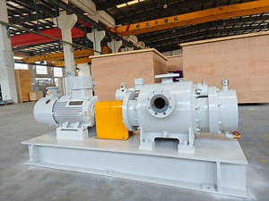 [Hot Item] Twin Screw Pump for Transfer Heavy Oil