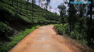 1.8M views · 2.4K shares | This is not in the Amazon rainforest or Africa This is in the rainforests of India | Wild Planet | Facebook