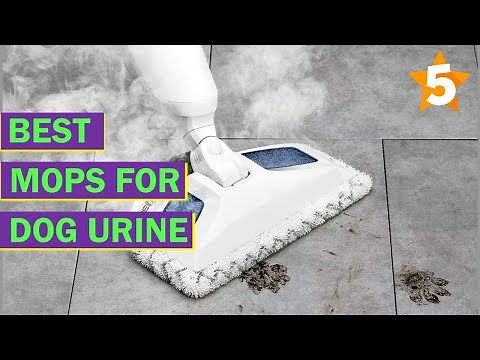 The 5 Best Mops for Dog Urine | Top 5 Picks