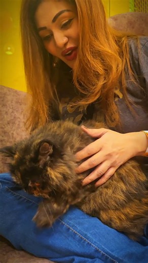 Cat Korner at Peekabear, ocean mall, it was one of the cutest experiences. But it was for 15 mins only. I have experienced cat cafés in other countries, they usually serve drinks and it's for a longer duration. Where you get to bond more with these fluffy creatures, but I still loved it here. The ticket for 15 minutes is 1000 rps. You have to buy cat treats separately of 250 rps. #catcafè #travelblogger #catkorner #oceanmallkarachi #explorere | Rafia Rafiq