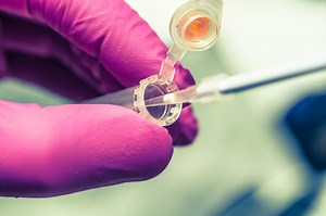 How To Calculate The Charge Of An Ion - Sciencing