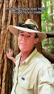 The beautiful K’Gari or Fraser Island. 🇦🇺 #crocturnbull #askanyaussie #fblifestyle #kgari #fraserisland | Steve Turnbull