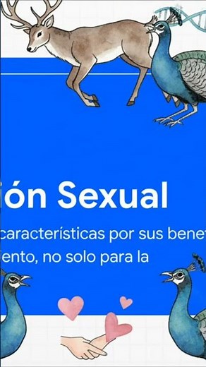 🧬 Cómo funciona la SELECCIÓN SEXUAL en humanos