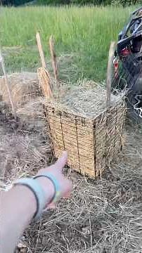 DIY Potato Tower!🥔 #gardening #potatoes #homesteading #gardeningtips