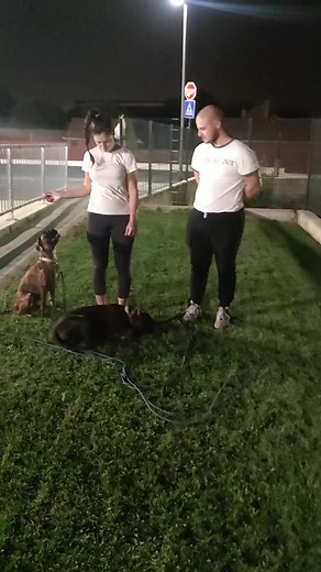 Kako naučiti psa,kako razumeti psa,gde početi? 📌 Za treninge možete me kontaktirati u DM ili ☎️tel 063/195 13 25 viber, whats up Zapratite 🧲you tube,instagram,tik tok Dobijate: ➡️ procenu stanja vašeg psa ➡️ plan rada sa vašim psom ➡️ odgovore na sva pitanja o psu ➡️ način rada sa psom ➡️ totalna podrška do cilja Možete napredovati mnogo ako uložite pre svega razumevanje za vašeg psa,trud,rad🐕‍🦺🙂 Ako ste spremni da date od sebe 100% ,vaš ljubimac će vam vratiti duplo toliko pošto su oni jed