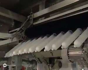 14K views · 228 reactions | Todo curiosidades on Reels | Facebook