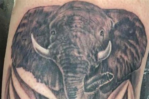 Elephant tattoo has VERY X-rated detail - but can you spot it?