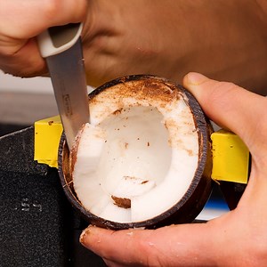 145K views · 319 reactions | Impressive Coconut Craft! | Earth Wonders | Facebook